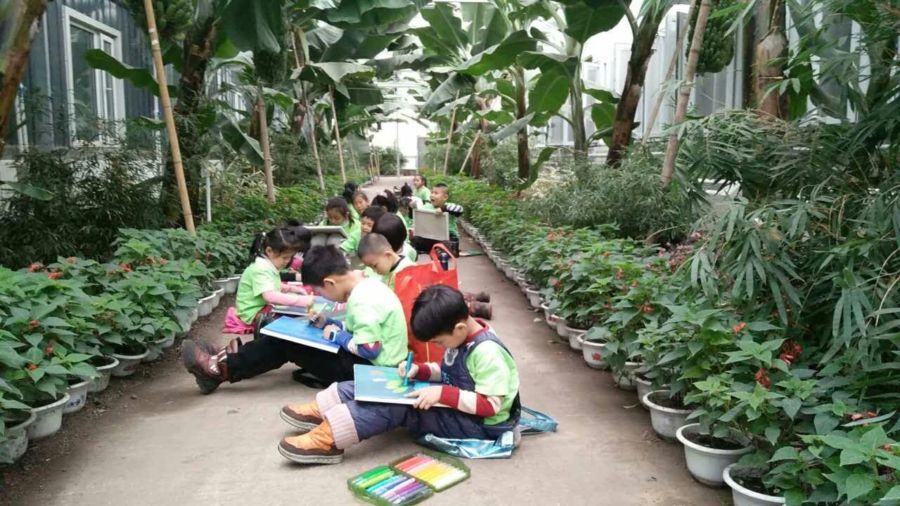 少儿美术加盟